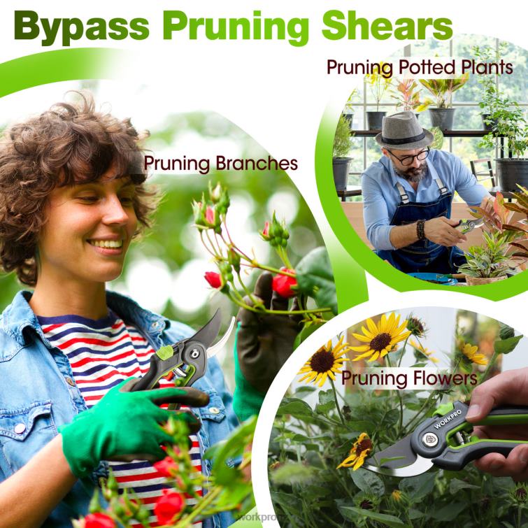 Garden Pruning Shears 2 Pack, Bypass Pruning Shears and Straight Garden Scissors 8884L280 Morden WORKPRO Tool