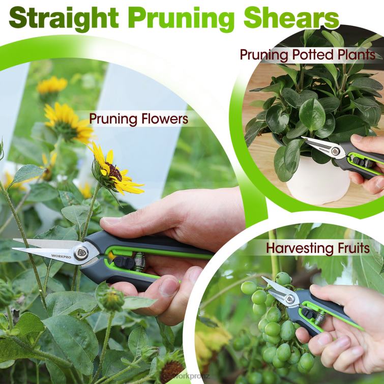 Garden Pruning Shears 2 Pack, Bypass Pruning Shears and Straight Garden Scissors 8884L280 Morden WORKPRO Tool