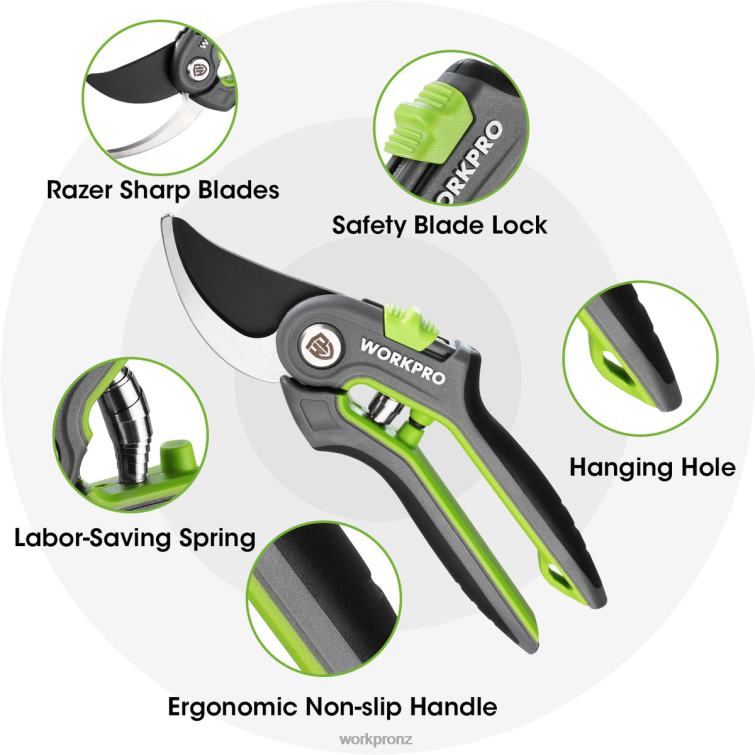 Garden Pruning Shears 2 Pack, Bypass Pruning Shears and Straight Garden Scissors 8884L280 Morden WORKPRO Tool