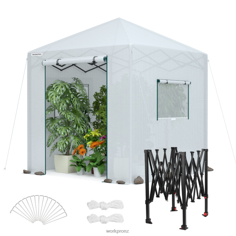 Portable Walk-in Greenhouse 8884L279 Morden WORKPRO Tool