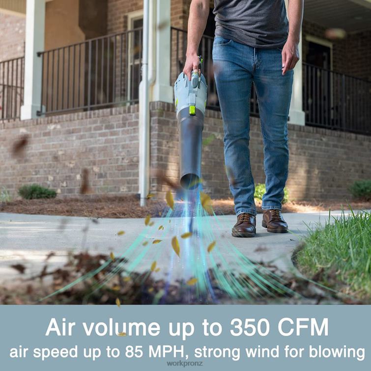 20V Cordless Leaf Blower with 5 Adjustable Speeds 4.0Ah Larger Capacity Battery and Quick Charger Included 8884L292 Helpful WORKPRO Tool