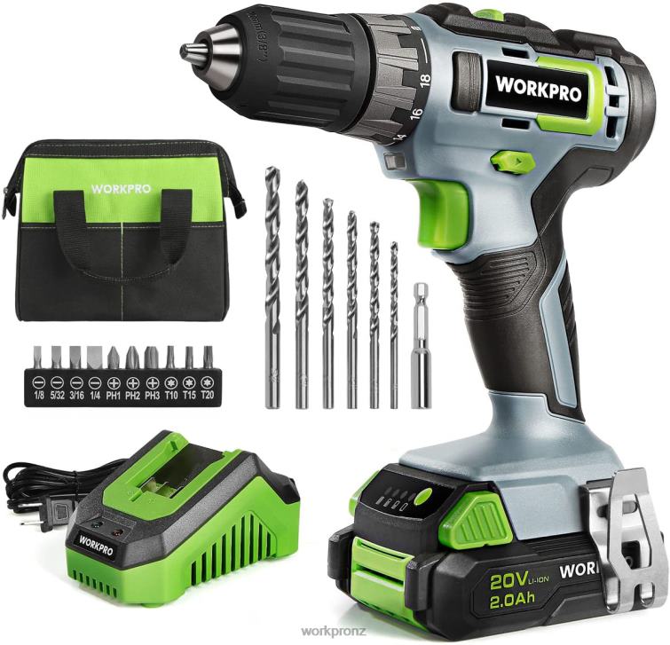20V Cordless Drill Driver Kit, 2.0 Ah Li-ion Battery, 1 Hour Fast Charger and 11-inch Storage Bag Included 8884L176 Green WORKPRO Tool