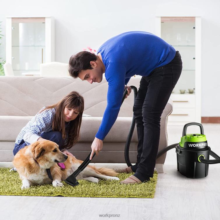 Wet/Dry Vacuum 2.5 Gallon 3 Peak Horsepower, Portable Shop Vacuum Cleaner for Home 8884L216 Useful WORKPRO Tool