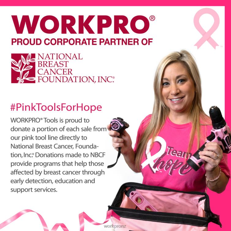 16-inch Tool Box, Plastic Toolbox with Metal Latch and Removable Tray 8884L23 Pink WORKPRO Storage