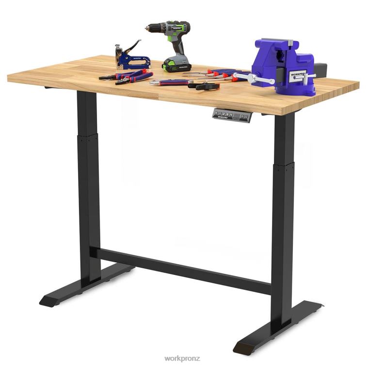 Electric Standing Height Adjustable Workbench with Wooden Top and Dual Motor 8884L5 Morden WORKPRO Storage
