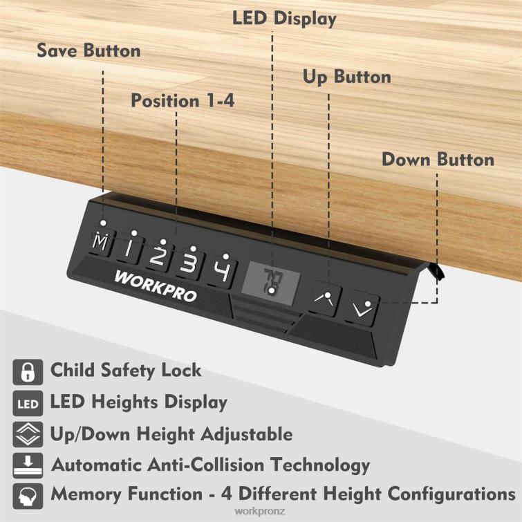 Electric Standing Height Adjustable Workbench with Wooden Top and Dual Motor 8884L5 Morden WORKPRO Storage